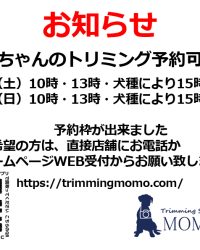 お知らせ　7月18日（土）・19日（日）予約枠が出来ました！